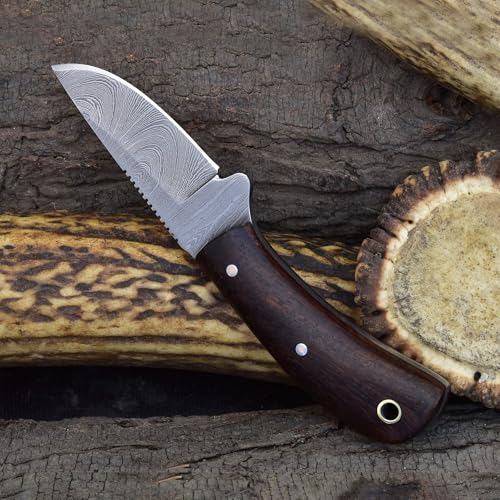 Knives Ranch 5.5" Handmade Damascus Steel EDC Knife, Full Tang Fixed Blade, Rosewood Handle - Horizontal Carry Genuine Leather Sheath - Belt Knife - Razor Sharp Compact Hunting & Utility Knife by Knives Ranch - Used condition - Image 9