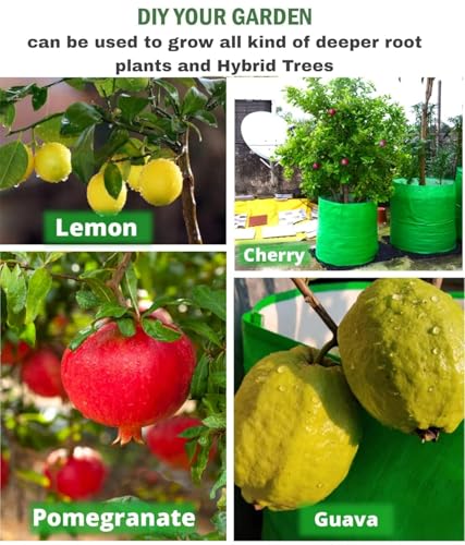 Image of 18x18 Big Size Grow Bags for Terrace Gardening, Premium HDPE Green-Orange Large Planters for Fruit Tree (Pack of 4, 18x18)