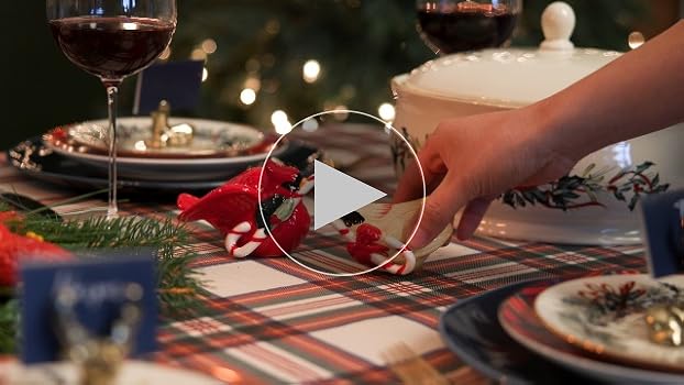 Amazon.com | Lenox 880133 Winter Greetings Bird Salt And