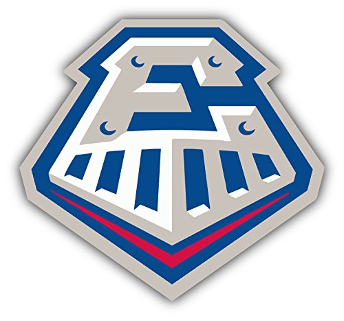 Round Rock Express MiLB Baseball Symbol Logo Vinyl Art Graphic Sticker Bumper Decal