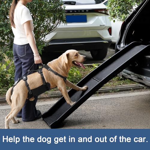 COODEO Dog Lift Harness, Full Body Support & Recovery Sling, Pet Rehabilitation Lifts Vest Adjustable Breathable Straps for Old, Disabled, Joint Injuries, Arthritis, Paralysis Dogs Walk (Black, L) - Image 4