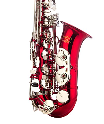 Image of Glory Red /Silver keys E Flat Alto Saxophone with 11reeds,8 Pads cushions,case,carekit