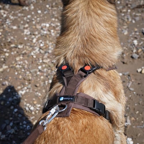 Anny-X Brustgeschirr Open Fun | Hundegeschirr für Sensible Hunde | Farbe Braun-Braun | Gr. M (Brustumfang 62-74cm)