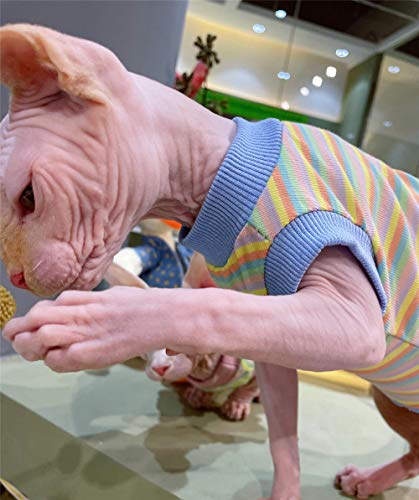 ZHIHAN Sphinx Cat Vestiti Primavera ed Estate