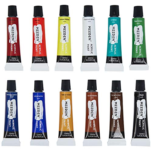 MEEDEN 20-Piece Acrylic Painting Set - 12 Colors, 5 Brushes, 3 Canvases, Perfect for Kids
