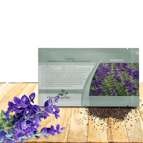 Outsidepride Blue Monday Salvia Seeds - 1,000 Pcs Annual, Compact,