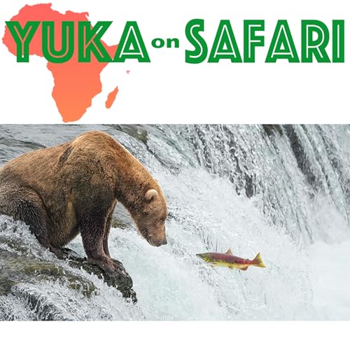 #154 【クレイジージャーニー裏話】世界最大のヒグマが暮らす島での共生