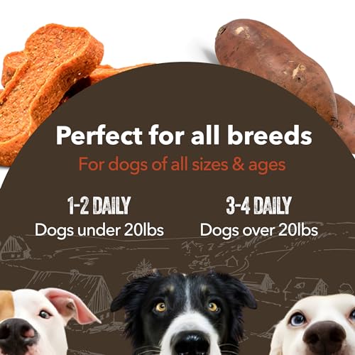 Gaines Household Farmstead Candy Potato Peanut Butter Topped Canine Bones All Pure Grain Free Canine Treats for All Ages  Breeds Nice for Coaching and Rewards Made in Usa 8 Ounce Bag  Cucciolini Doodles Gaines household farmstead candy potato peanut butter topped canine bones all pure grain free canine treats for all ages  breeds nice for coaching and rewards made in usa 8 ounce bag   cucciolini doodles