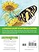 Creative Haven Butterfly Gardens Coloring Book; A Journey through Nature For Stress Relief and Relaxation (Adult Coloring Books: Insects)