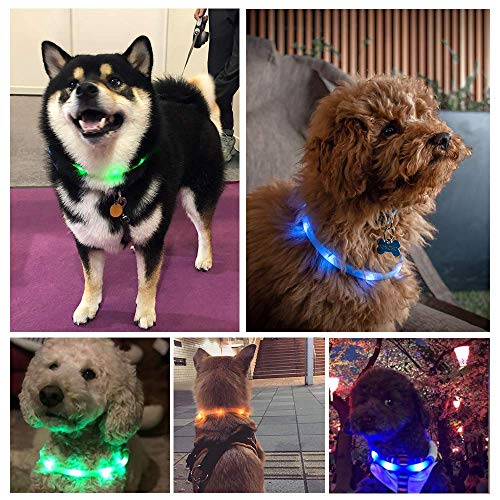 犬の散歩おすすめのライト 犬用 リード 飼い主用それぞれ紹介 Tabinotomo