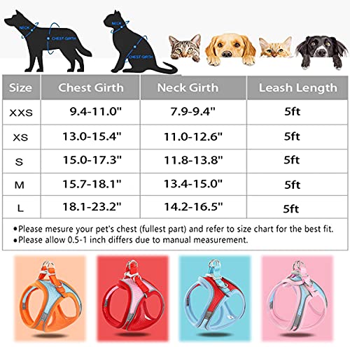 Lmobxevl Dog/Puppy Harness And Leash Set For Walking Escape Proof,Comfortable Air Mesh Dog Vest Harness With Reflective Strip,Step-In Outdoor Pet Vest For Size: Medium (Pack Of 1),Color:red/Pink #TOP5
