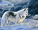 Produktbild MCZQT Wolf DIY Öl DIY Farbe Nach Nummer Kalligraphie Gemälde Acryl Gemälde Nach Nummer Auf Leinwand für Wohnkultur 50X65Cm DIY Rahmen