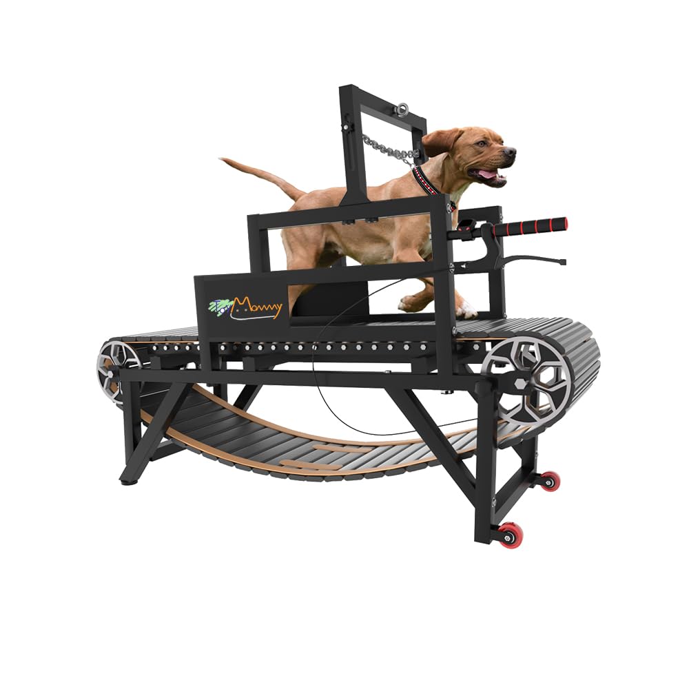 Dog Training Stand Proud K9 Dog Treadmill With Disc Brake