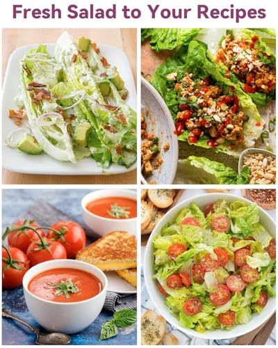 image for LYKOCLEAN Salad Seed Pod Kits for AeroGarden, 8-Pods iDOO Hydroponics 