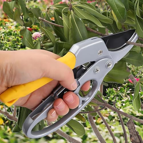 Image of Oblivion Gardening Shears 200mm - Heavy-Duty Sharp Garden Shears Pruning Machine, Durable Professional Pruning Tool for Trees, Shrubs & Plants, Versatile Easy-Cut Handheld Trimming Machine (Pack of 1)