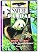 Nature: Pandas