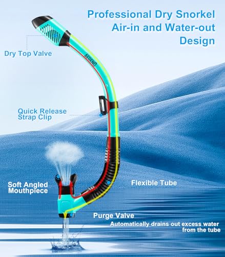 Aegend 2 Pack Snorkeling Gear for Adults, Dry Snorkel Set Panoramic View Enhanced Anti-Leak and Anti-Fog Technology, Adjustable Strap for Snorkeling Scuba Diving Swimming with Mesh Bag