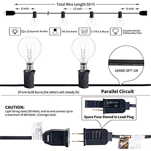 Commercial Grade 50ft G40 Globe String Lights for Outdoor Events and Decor