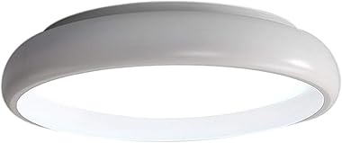 YLLLLC Useful Chandelier Simple Nordic Ceiling Lamp, White/Black Living Room Balcony Aisle Light Porch Bedroom Dining Room Fi