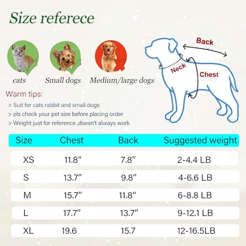 Anelekor Vestidos de borboleta arco-íris para cães pequenos, meninas, filhotes, rendas, tutu, vestid