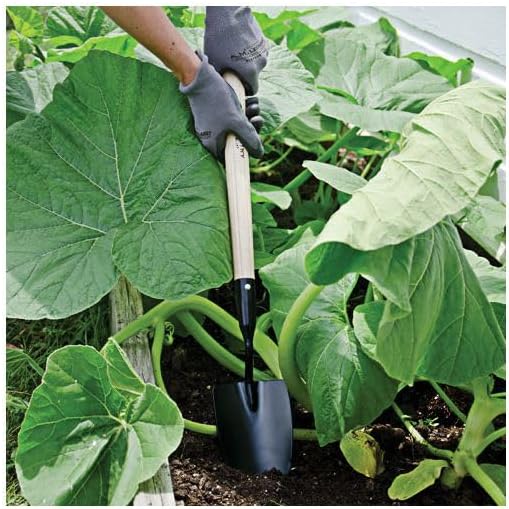 A.M. Leonard Extended-Reach Nursery Trowel