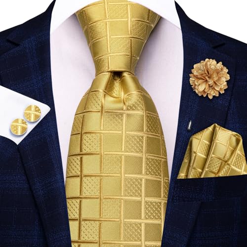 Image of Hi-Tie Mens Paisley Floral Striped Ties Set Silk Necktie and Lapel Pin for Men Pocket Square Cufflinks Set Business Wedding