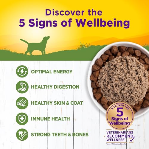 Image of Wellness Complete Health Pate Adult Canned Wet Dog Food, Wholesome Grains, Natural, Lamb and Sweet Potato, 12.5 oz, Pack of 12 Cans