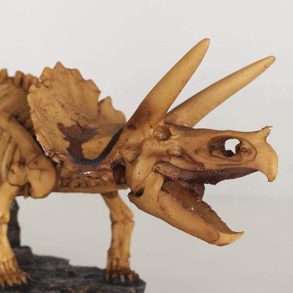 Figurka Ogrodowa,Ozdoby ogrodowe zwierząt dekoracja rzeźba statua Ornamentjurassic World Park Triceratops szkielet kopalna rzeźba dinozaur czaszka statua/dinozaur Model zabawkowy figurka