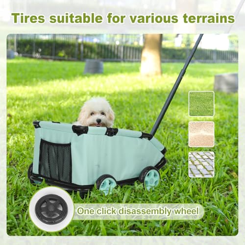 Mini-Hundewagen für Mini-Haustiere, Faltbarer multifunktionaler Einkaufswagen mit ausziehbarem Ziehgriff Im Freien, Wagon eingebautem Kissen und Sicherheitsseil mit Aufbewahrungstasche (Blaugrün)