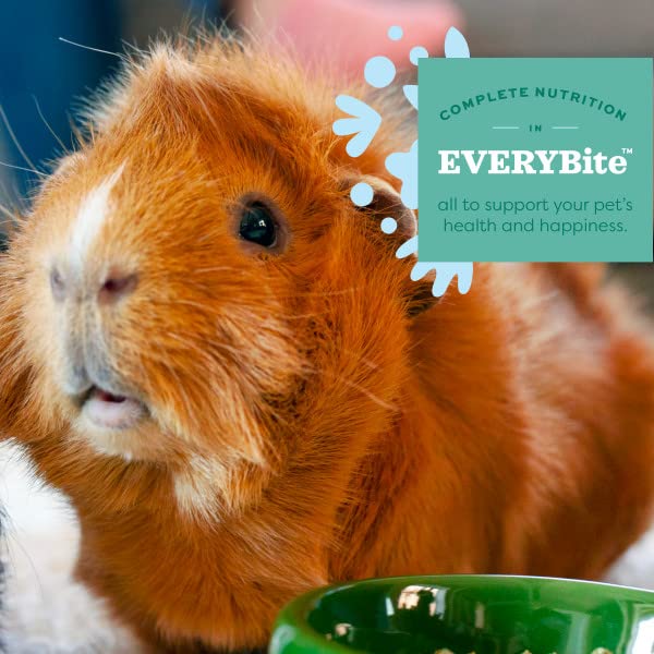 モルモット Amazon | OXBOW エッセンシャル シニア モルモット 1.8Kg うさぎ