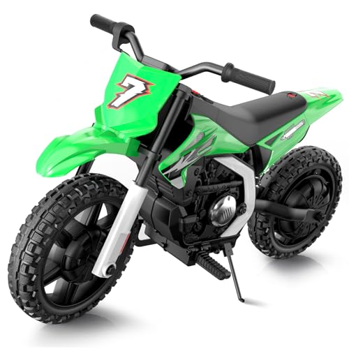 MINIATURE MOTORS 24V Kids Dirt Bike