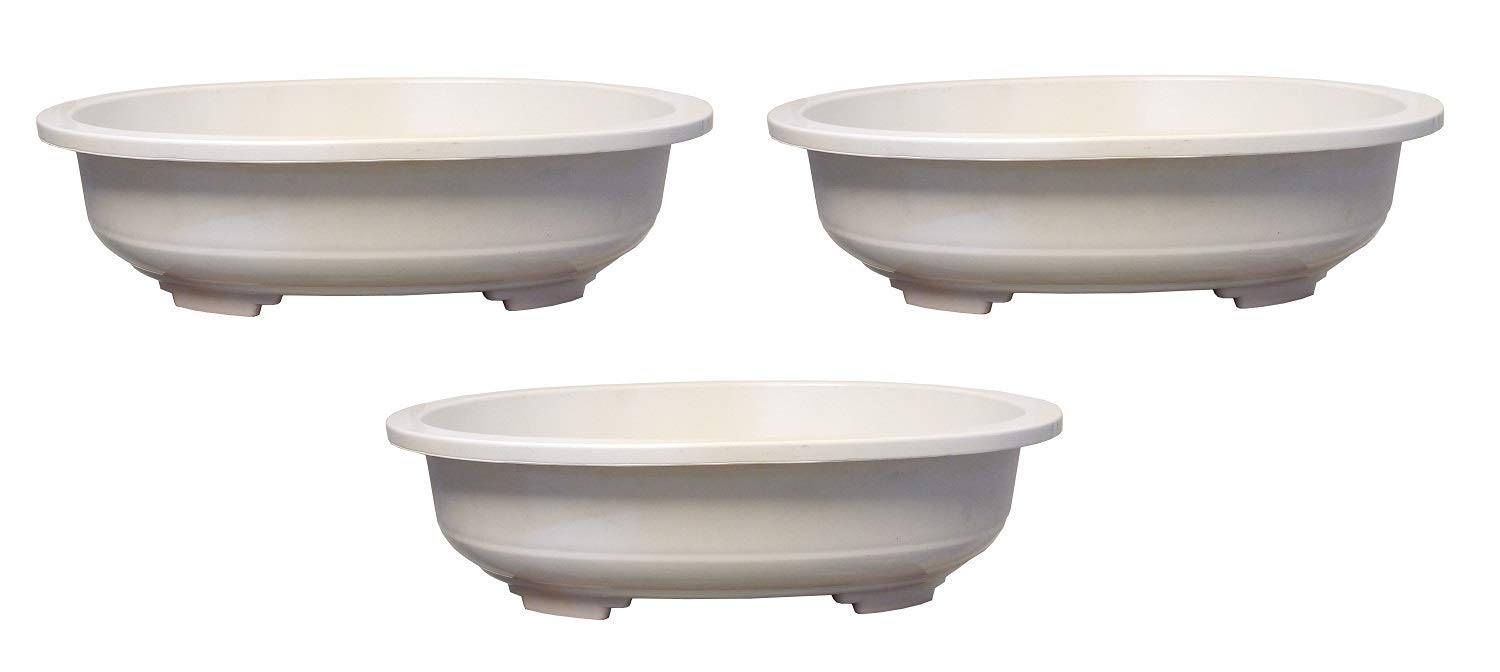 See full amazon price history chart for Oval Bonsai Flower Pots 16-inch, White Color - Pack of 3 Oval Bonsai Flower Pots 16-inch, White Color - Pack of 3 (B07ZFW98LW) Amazon Price History, Amazon Price Tracker