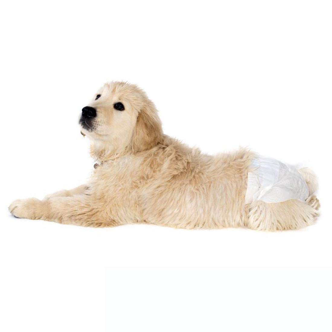 Pañales para Mascotas Desechables Desechables Perros para Perros10 Hoja Desodorización Absorbente de Agua Toallas Sanitarias para Perros