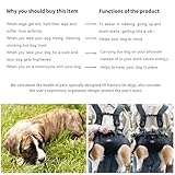 Wakytu Hundetasche für Kleine Hunde Notfallrucksack, Hundetragetasche für Behindert, Gelenkverletzungen, Ältere Hunde Treppen rauf und runter, Autos Hundetragetuch (33-66 LBS)
