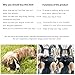 Wakytu Hundetasche für Kleine Hunde Notfallrucksack, Hundetragetasche für Behindert, Gelenkverletzungen, Ältere Hunde Treppen rauf und runter, Autos Hundetragetuch (33-66 LBS)