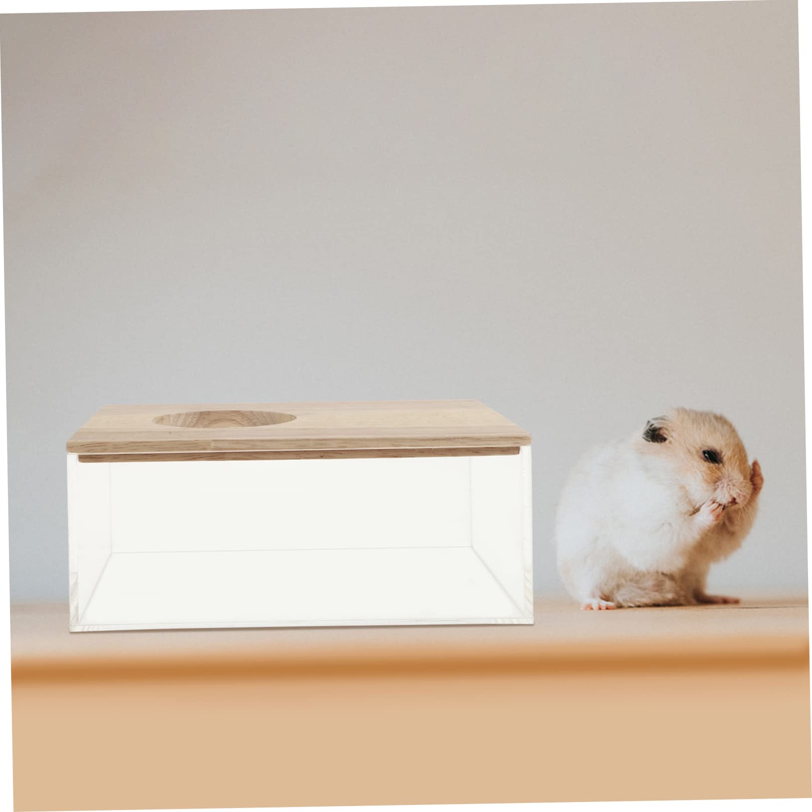 Transparentes Hamster Sandbad mit Spritzschutz, Acryl Holz, für Kleintiere