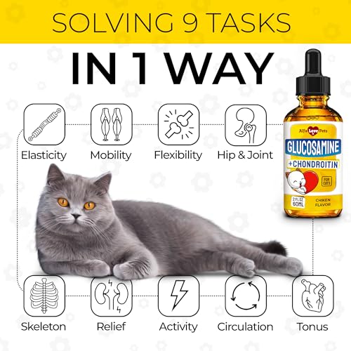 Alfa Love Pets ALPS-GLUCO-CATS Cat Joint Supplement ✿ Glucosamine For Cats ✿ Joint Supplement For Cats ✿ Cat Glucosamine ✿ Chondroitin And Glucosamine Combination For Cats ✿ Cat Hip And Joint Supplements ✿ 2 Oz thumb #1