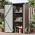 Aoxun Outdoor Storage Shed with Floor - 3x3 FT Vertical Cabinet with 2 Adjustable Shelves & Lockable Doors, Waterproof Small Tool Shed, for Backyard Garden Patio Lawn Indoor, Brown