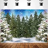 Winter Forest Landscape Photography Backdrop Winter Landscape Forest Ice and Snow World Theme Backdrop Snowy Christmas Pine Tree Backdrop Natral Scence Xmas Party Decoration Photo Banner,6X4FT