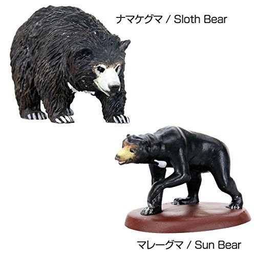カロラータ 世界のクマ フィギュア ( 立体図鑑 ) 熊 リアル フィギュアボックス [解説書付き] 食品衛生法クリア 8種 w17b8b5 Amazon.co.jp: カロラータ 世界のクマ フィギュア 立体図鑑 (熊