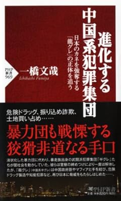 進化する中国系犯罪集団 (PHP新書)