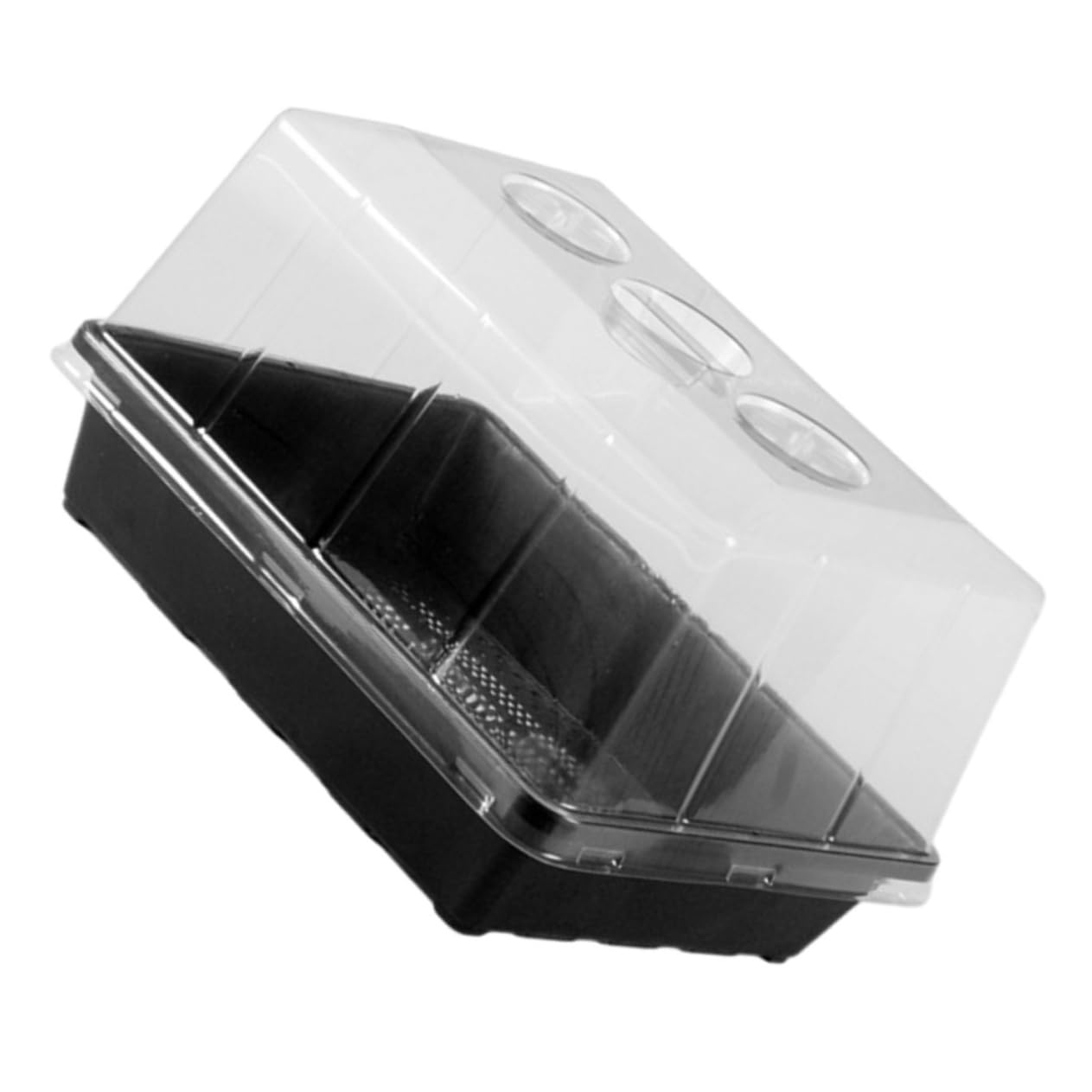 Vassoi per Piantine in Plastica Resistente Vassoi Stella per Germinazione con Cupola per umidità Contenitori per Piante da Giardino
