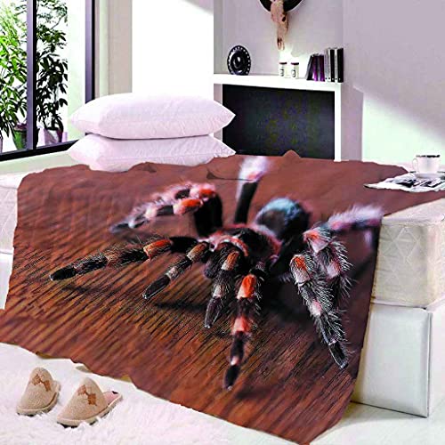 Couverture araignée 3D pour vos soirées cocooning et déplacements - 3