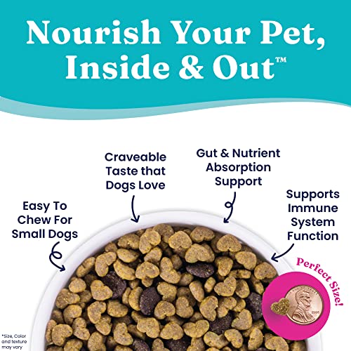 Solid-Gold-Nutrientboost-Mighty-Mini-Small-Breed-Dog-Food-Dry-Dog-Food-Made-with-Real-Chicken-for-Any-Toy-Breed-Grain-Gluten-Free-Recipe-for-Gut-Health-Sensitive-Stomach-Support-375-LB-Bag