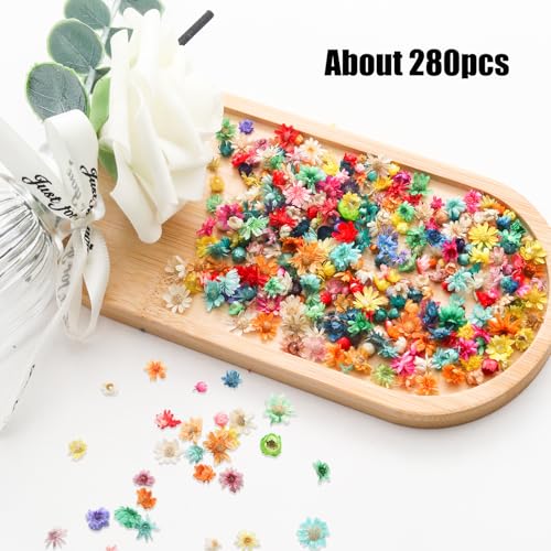 280 mini flores secas para manualidades y resina miniatura 2