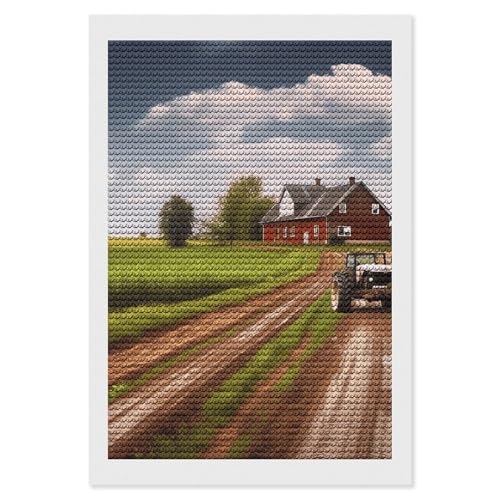 Kit d'art diamant pour adultes paysage de campagne ELUZZIZUT broderie diamants ronds