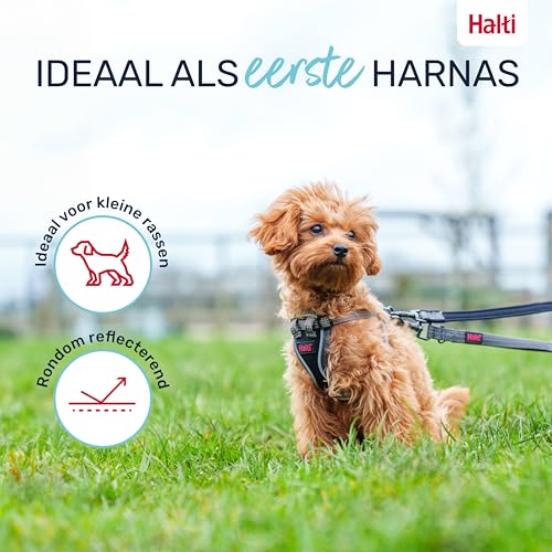 Image of Halti Anatomy Puppy & Small Dog Harness | Size XS, Grey | Soft & Comfortable Step-in Harness, 4 Adjustable Points, Lightweight & Reflective, For Miniature and Toy Dog Breeds