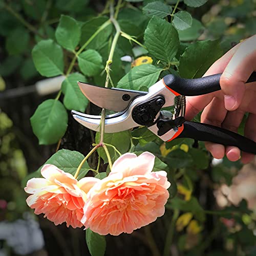 BAISHITE Bypass Pruning Shears - Heavy Duty Shears Gardening Tool with 65MN Blade for Garden