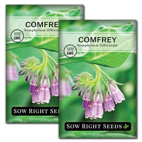 Sow Right Seeds - Comfrey Seeds for Planting - Non-GMO