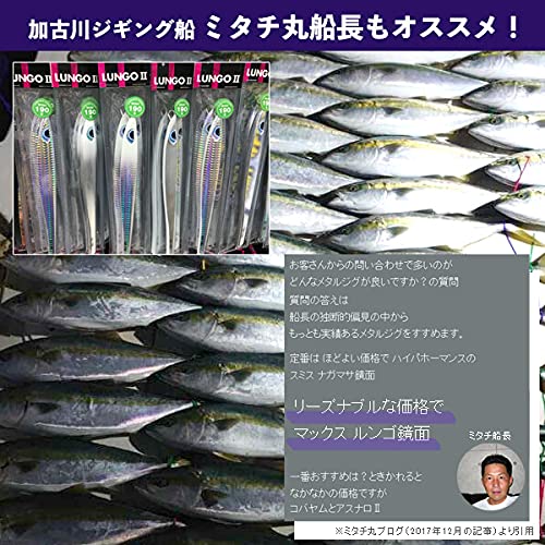 アズーロ ルンゴII 220g タテホロシルバーＧＨ オフショア ジグ タチウオパターン スロージギング ジギング 7枚目